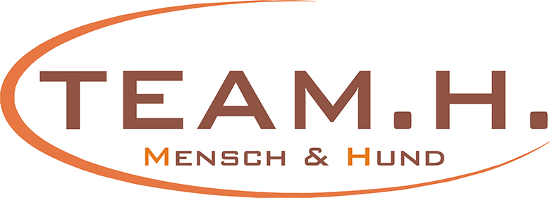 Logo Team. H.