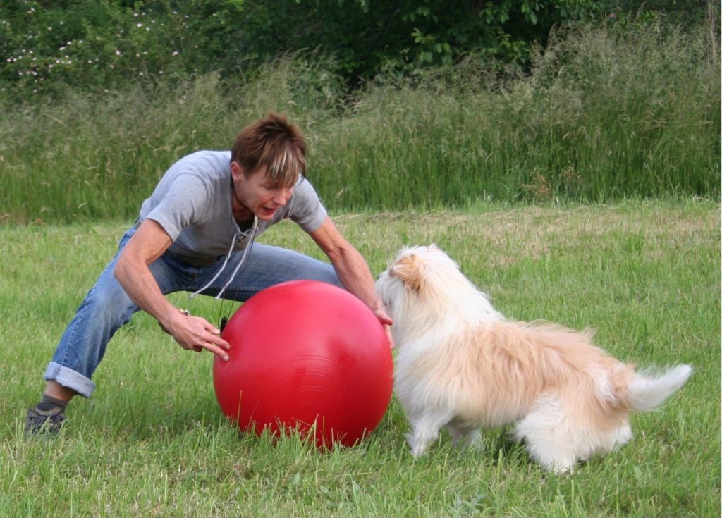 Treibball - Team. H. Mensch & Hund - Ihre Hundeschule in Sand am Main & Bundorf - Haßberge